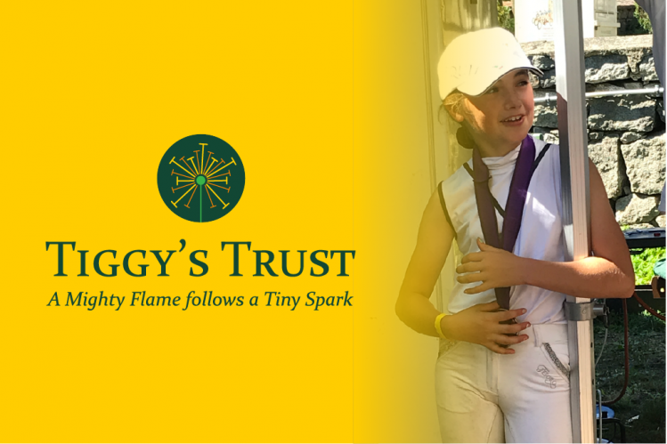 Inaugural Auction for the Tiggy Hancock Trust